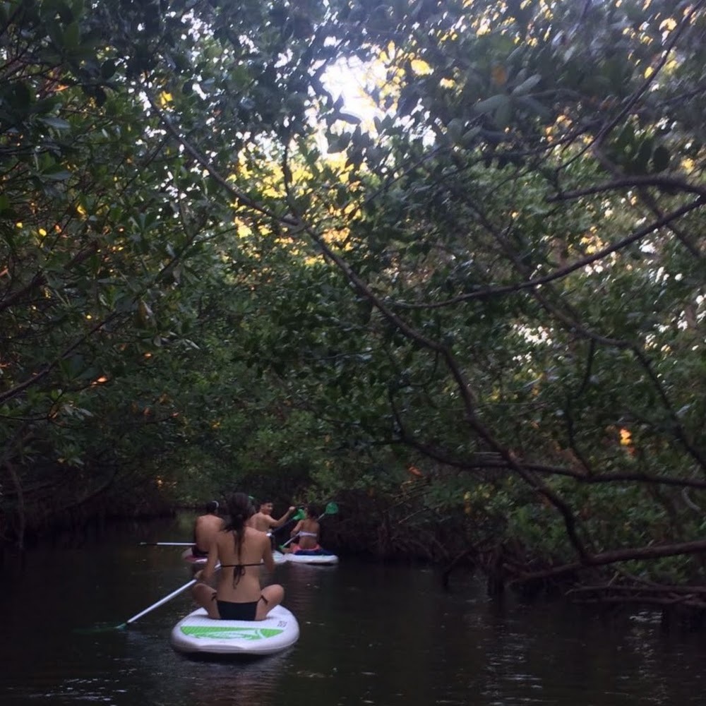 Meet your Posher, Clarissa